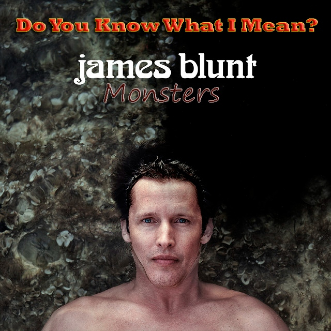 Do You Know What I Mean?