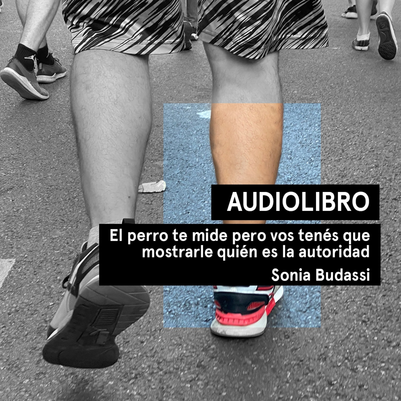 Audiolibros Por qué leer