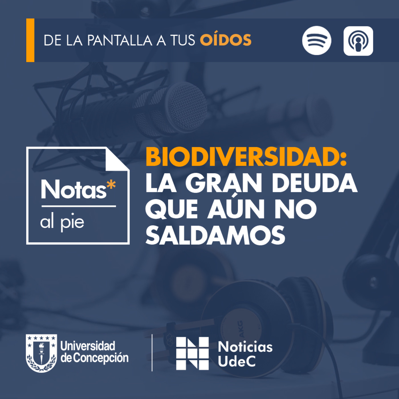 Notas al pie