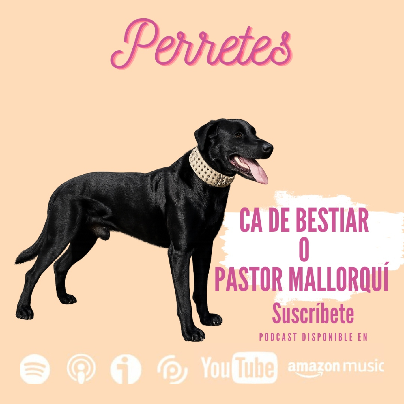Ep110: Ca de Bestiar episode artwork