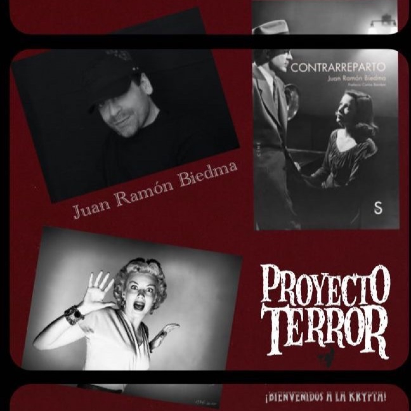 Proyecto Terror