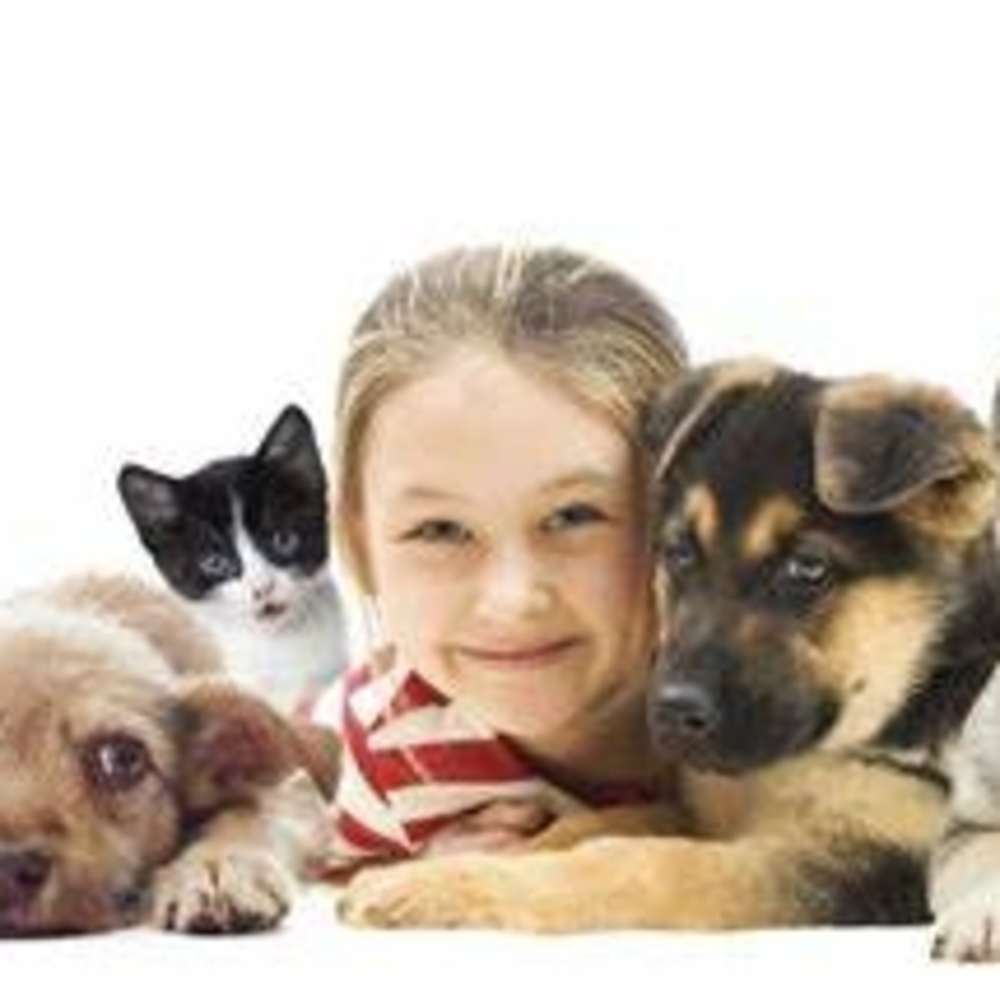 Podcast Mascotero - Mundo animal