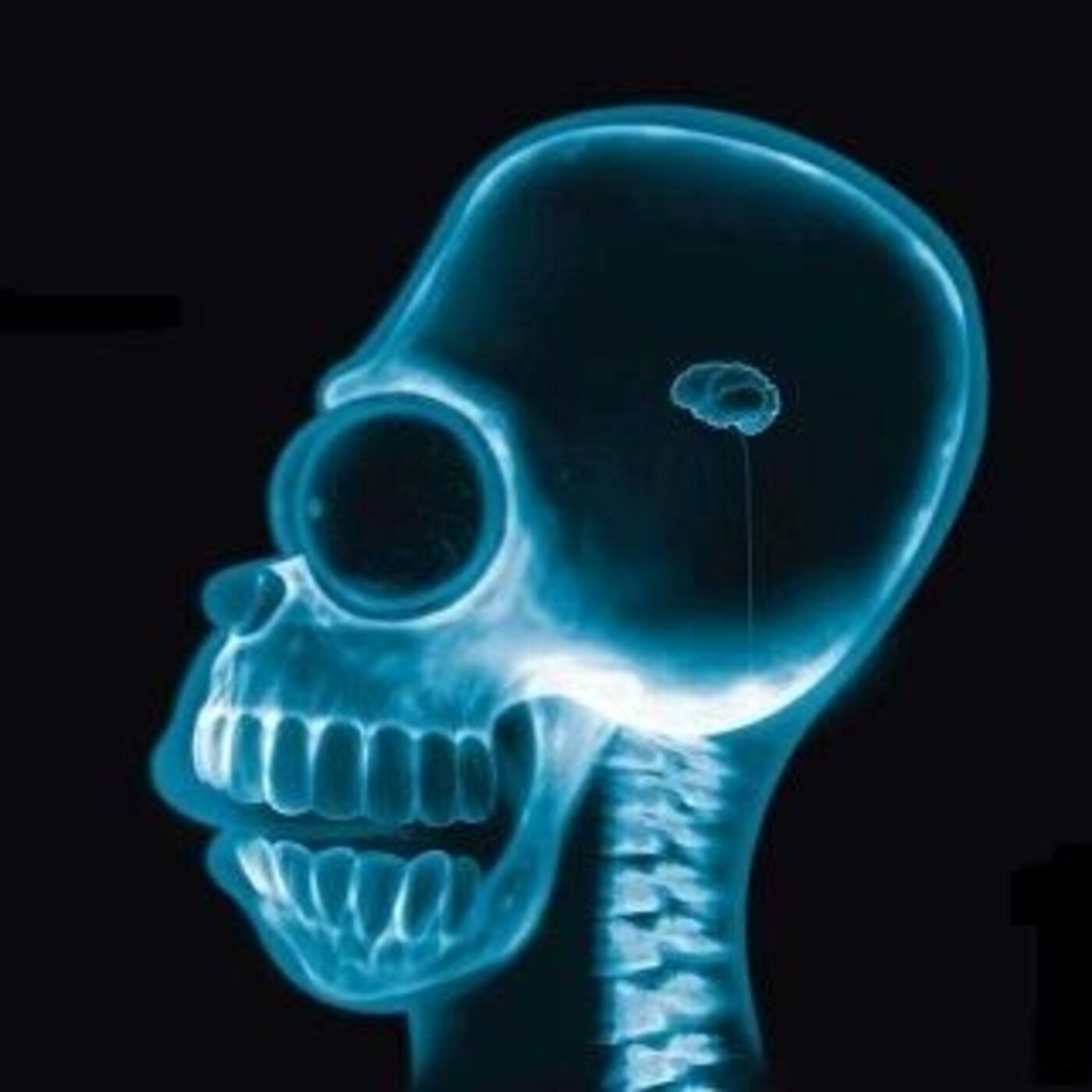La Hora Positiva - El Lado Oscuro De Los Hábitos Que Te Mantienen Pobre