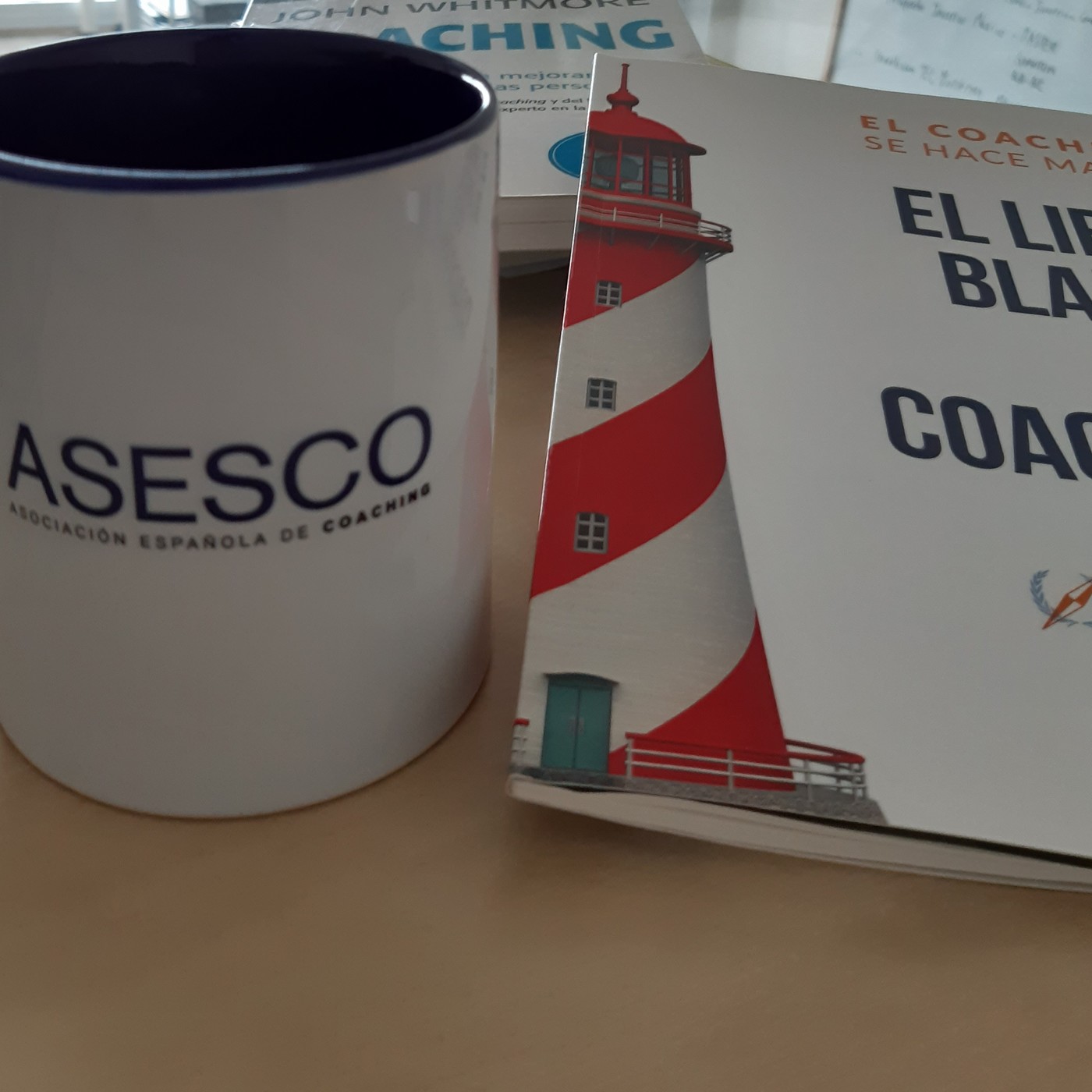 EL LIBRO BLANCO DEL COACHING