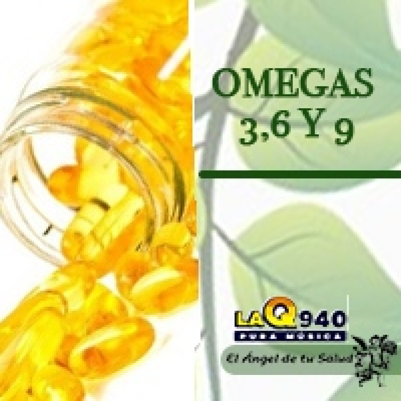 El Ángel de tu Salud - Omegas 3, 6 y 9** episode artwork