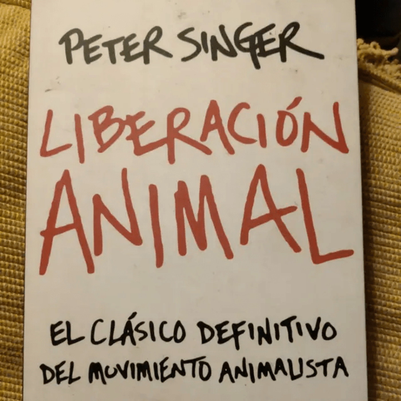 Lado B del Conocimiento