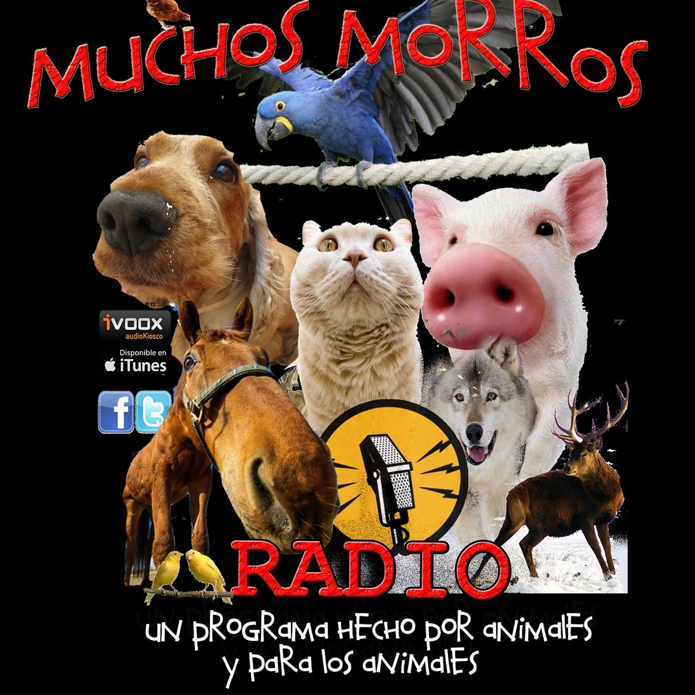 MUCHOS MORROS