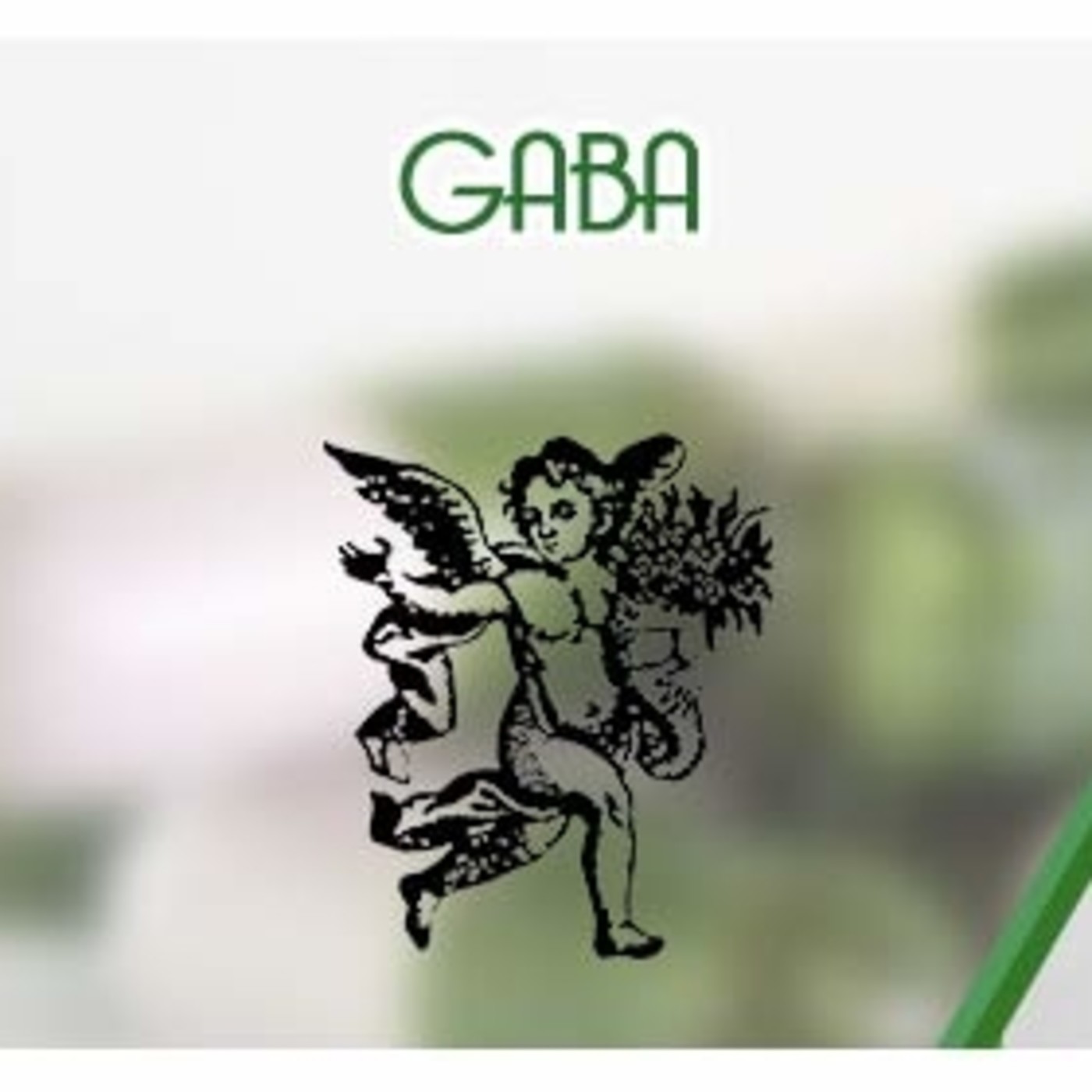 El Angel de tu Salud - GABA* episode artwork