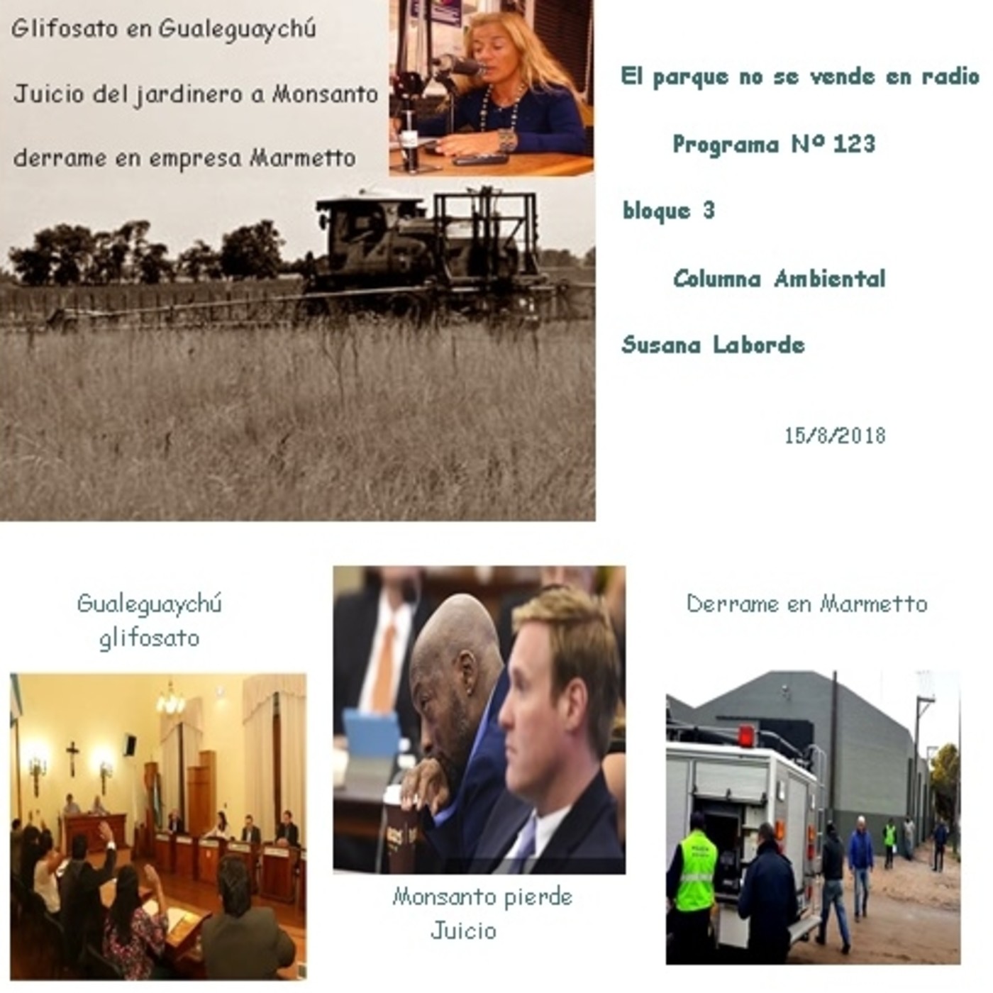 Programa Nº 123 - El parque no se vende - bloque 33 episode artwork