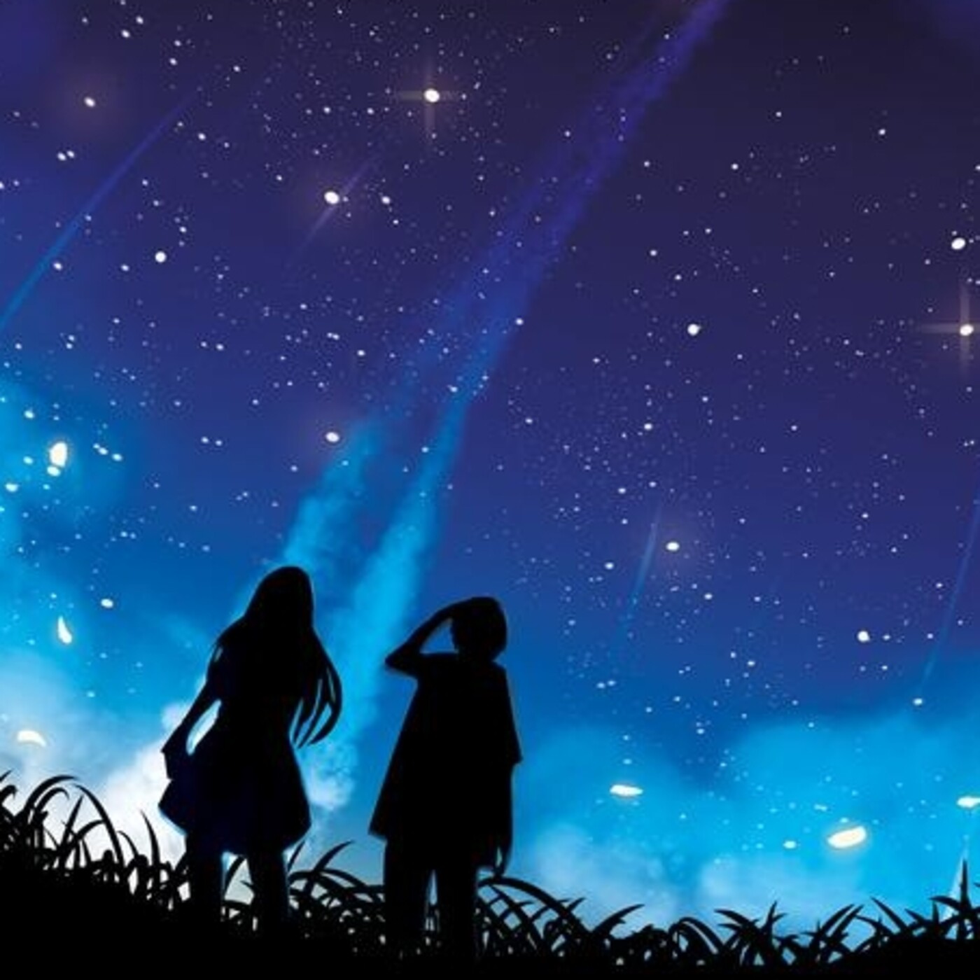 Vuelo del Cometa