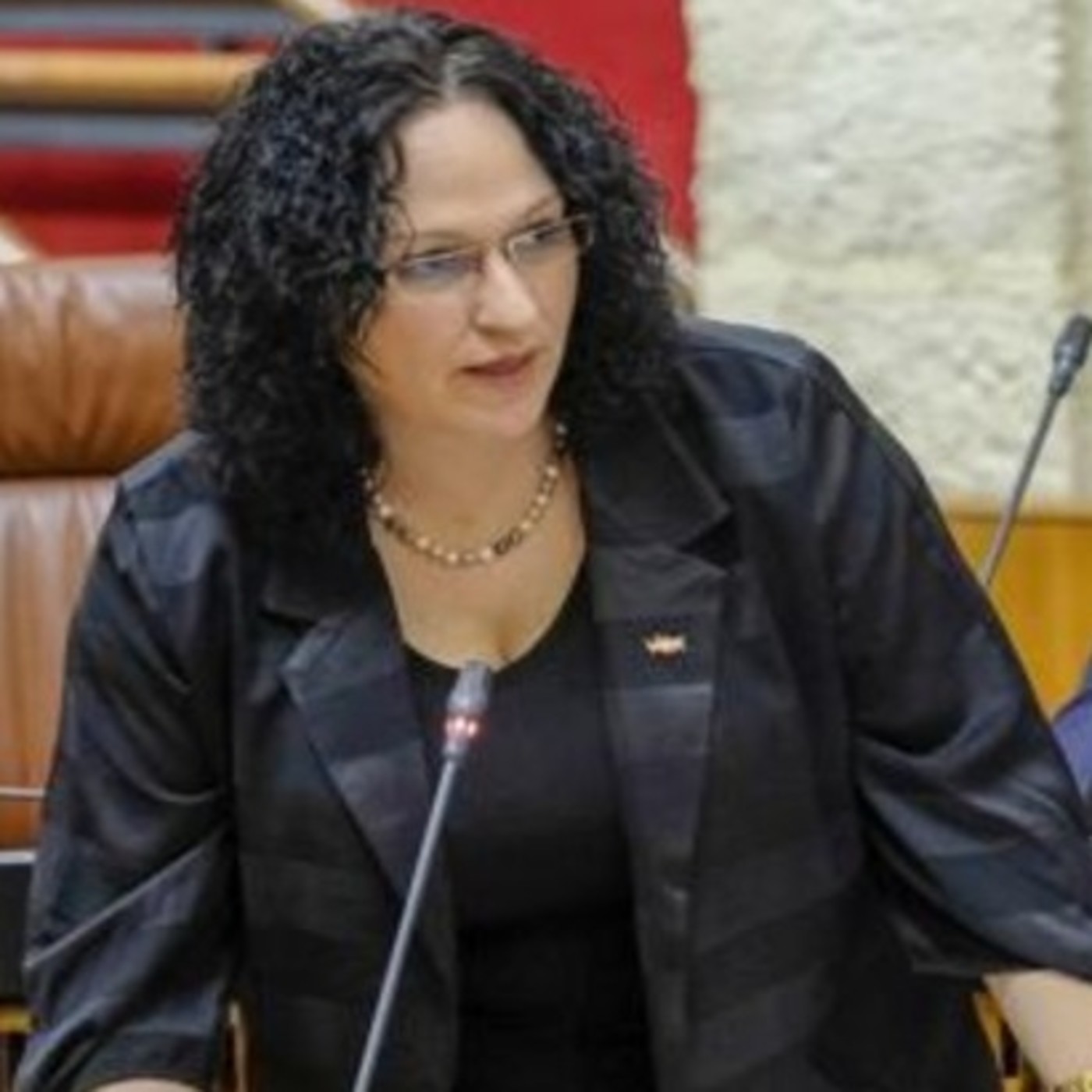 ENTREVISTA | Luz Belinda Rodríguez diputada de Falange Española en Parlamento Andalucía episode artwork
