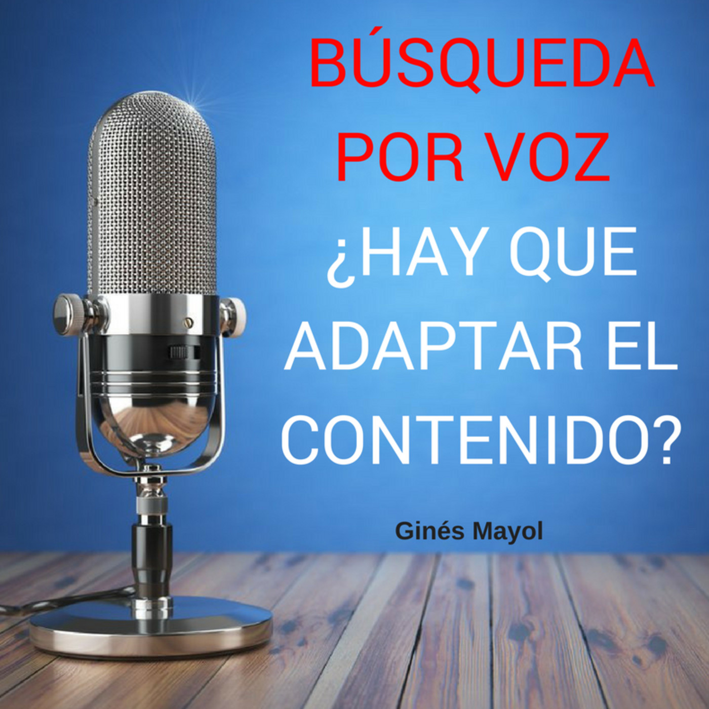 Gines Mayol - SEO
