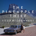149 - Pineapple Thief - Your wilderness (2016)