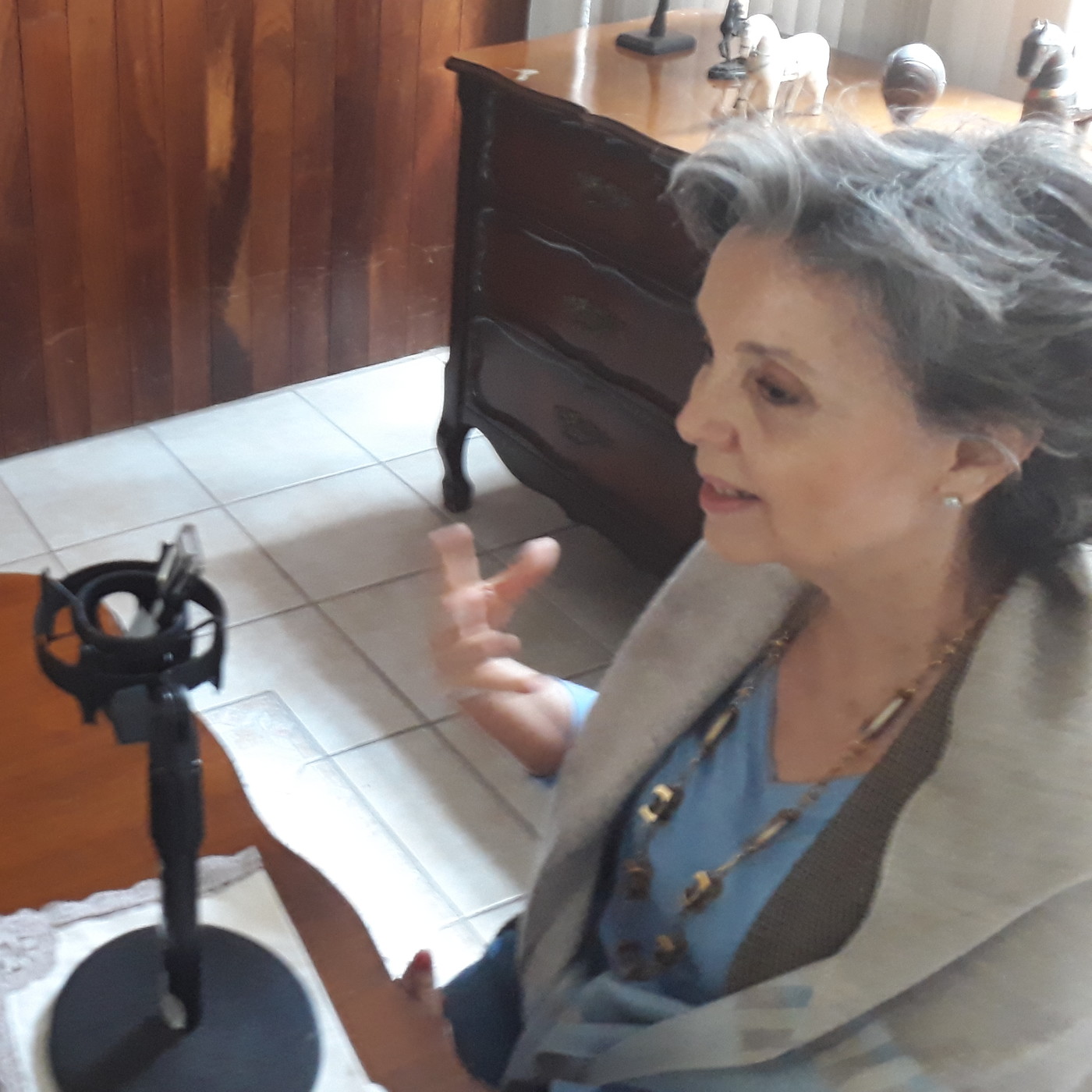 Difusión interpretación simultánea profesional