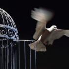 Castillos en el Aire 268, en el que debatimos sobre libertad y seguridad...