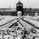 ¿Deberíamos bombardear Auschwitz?