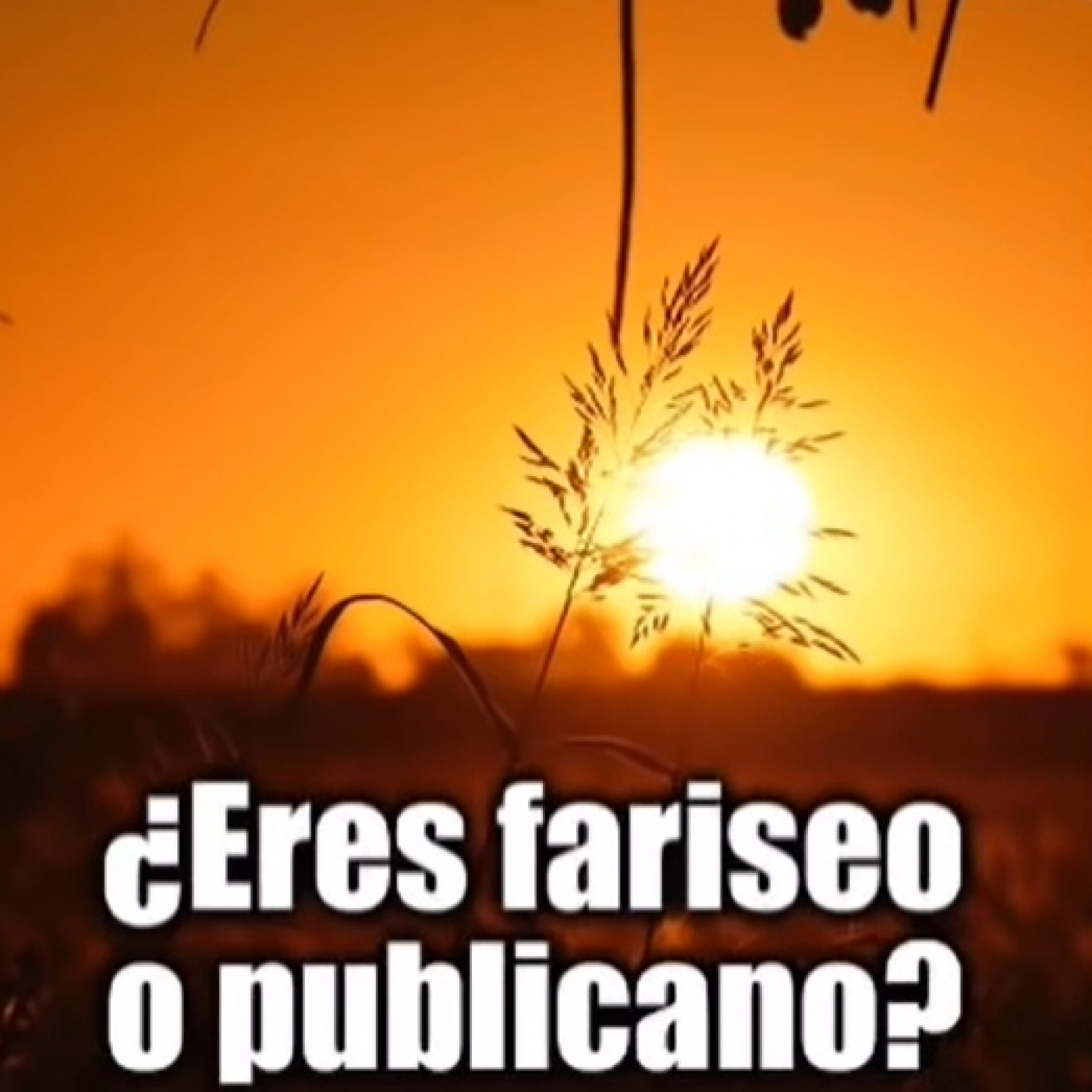 Evangelio de Hoy