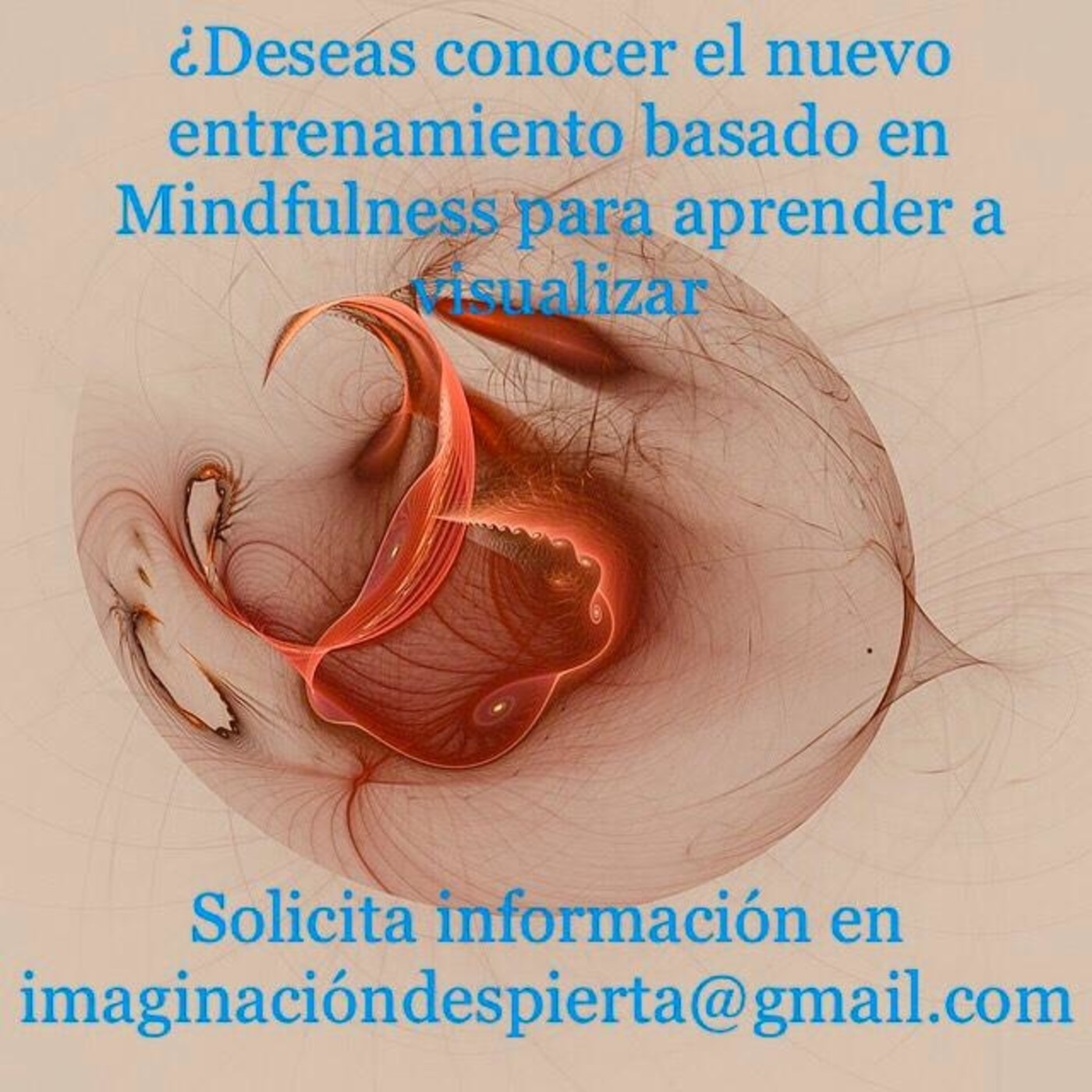 ENTRENAMIENTO VISUALIZACIONES