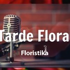 Tarde floral. 031019 p053