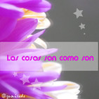 Las cosas son como son