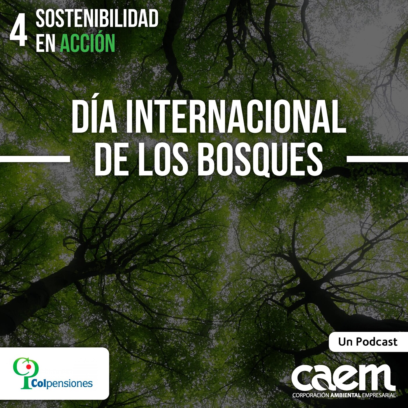 Sostenibilidad en Acción - CAEM