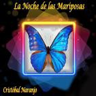 La Noche de las Mariposas (7 de Junio de 2016)