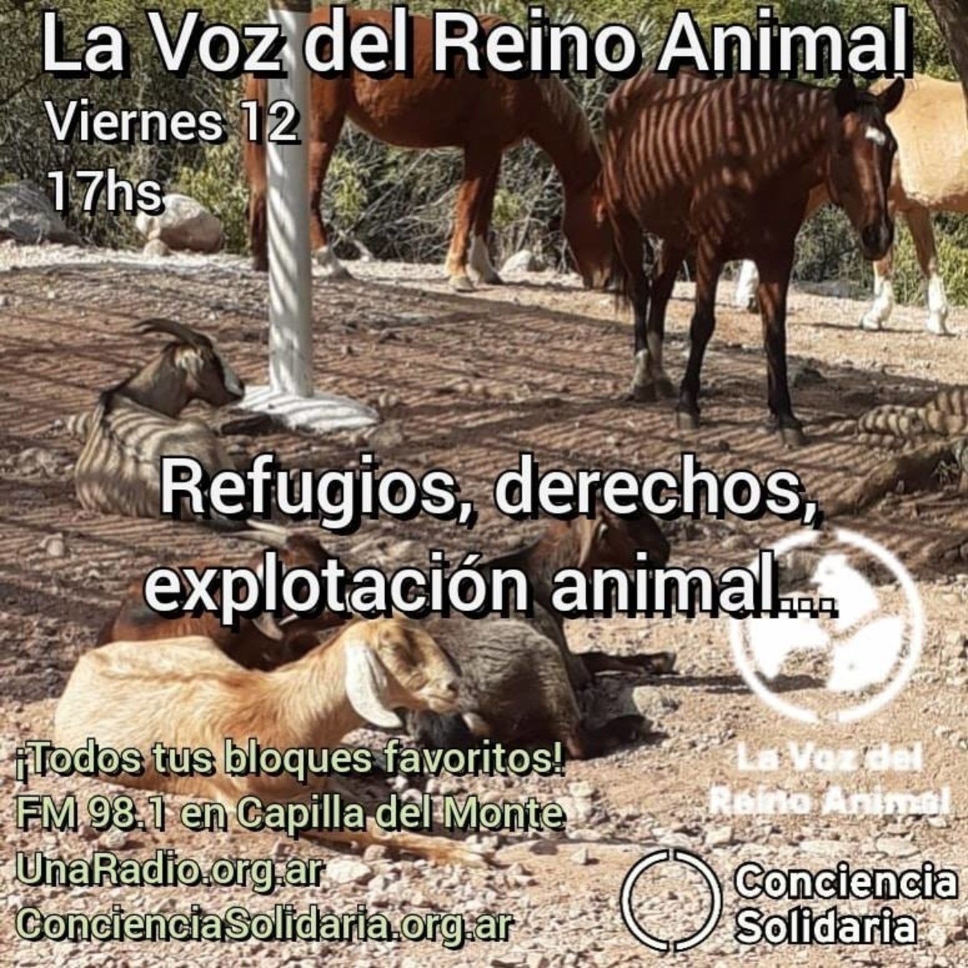 #LaVozDelReinoAnimal 12.06.2020 episode artwork