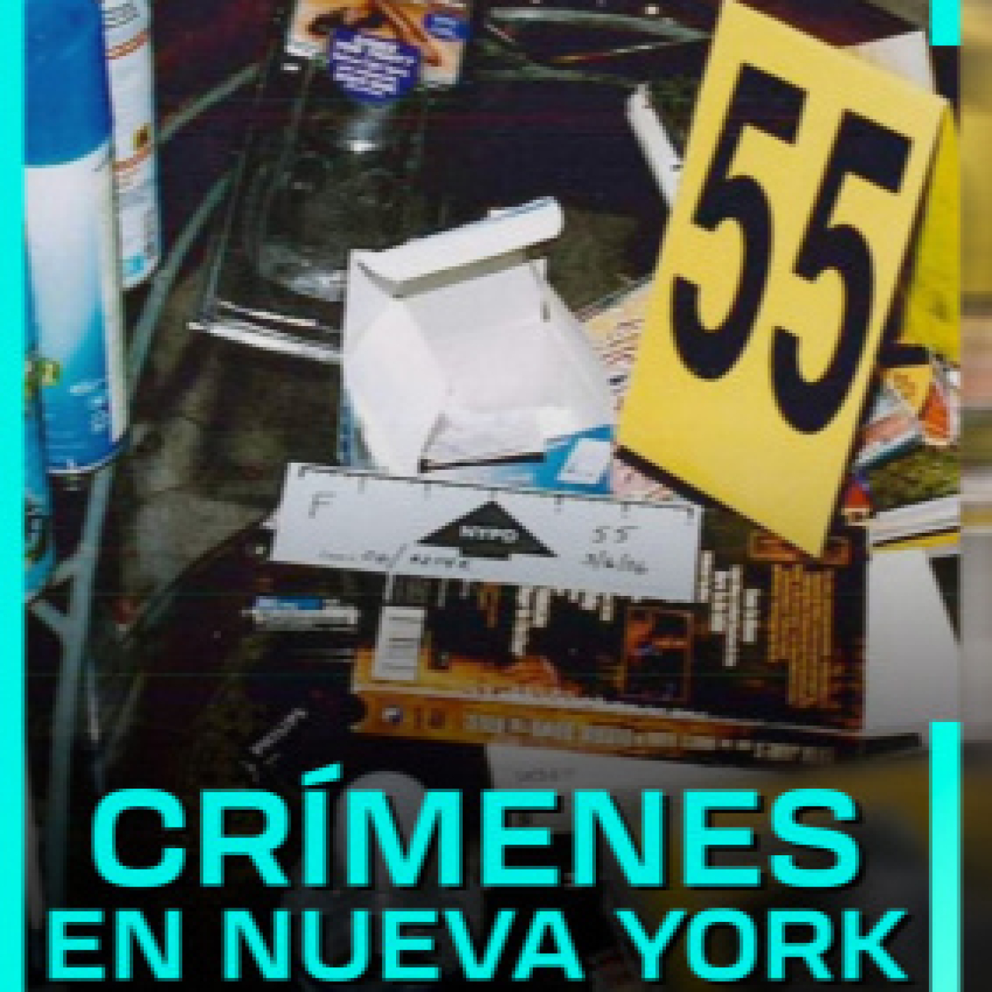 Crímenes en Nueva York T2: Horror en el río Hudson