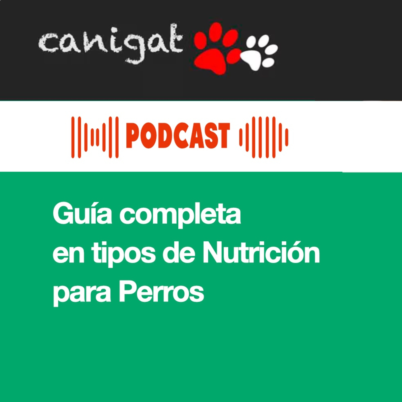 Consejos veterinarios de perros y gatos by canigat