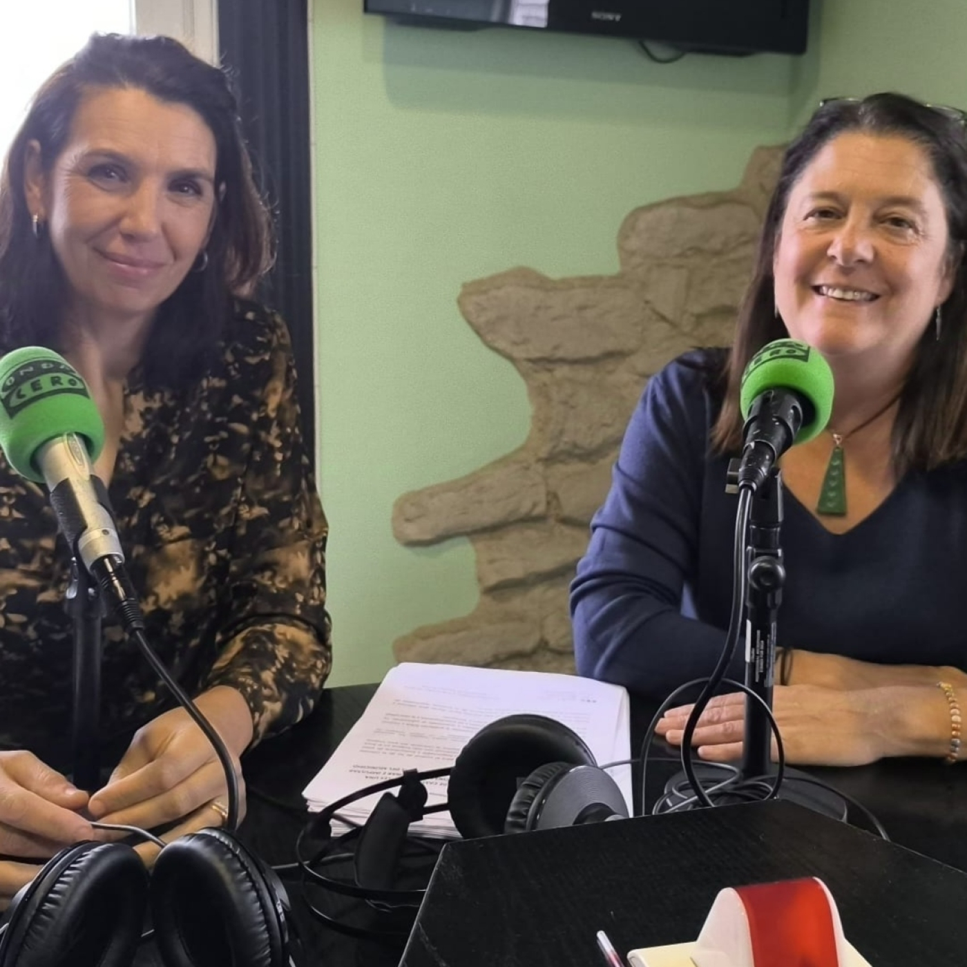 Virginia Losada y Elizabeth Losada. Colonias de gatos episode artwork