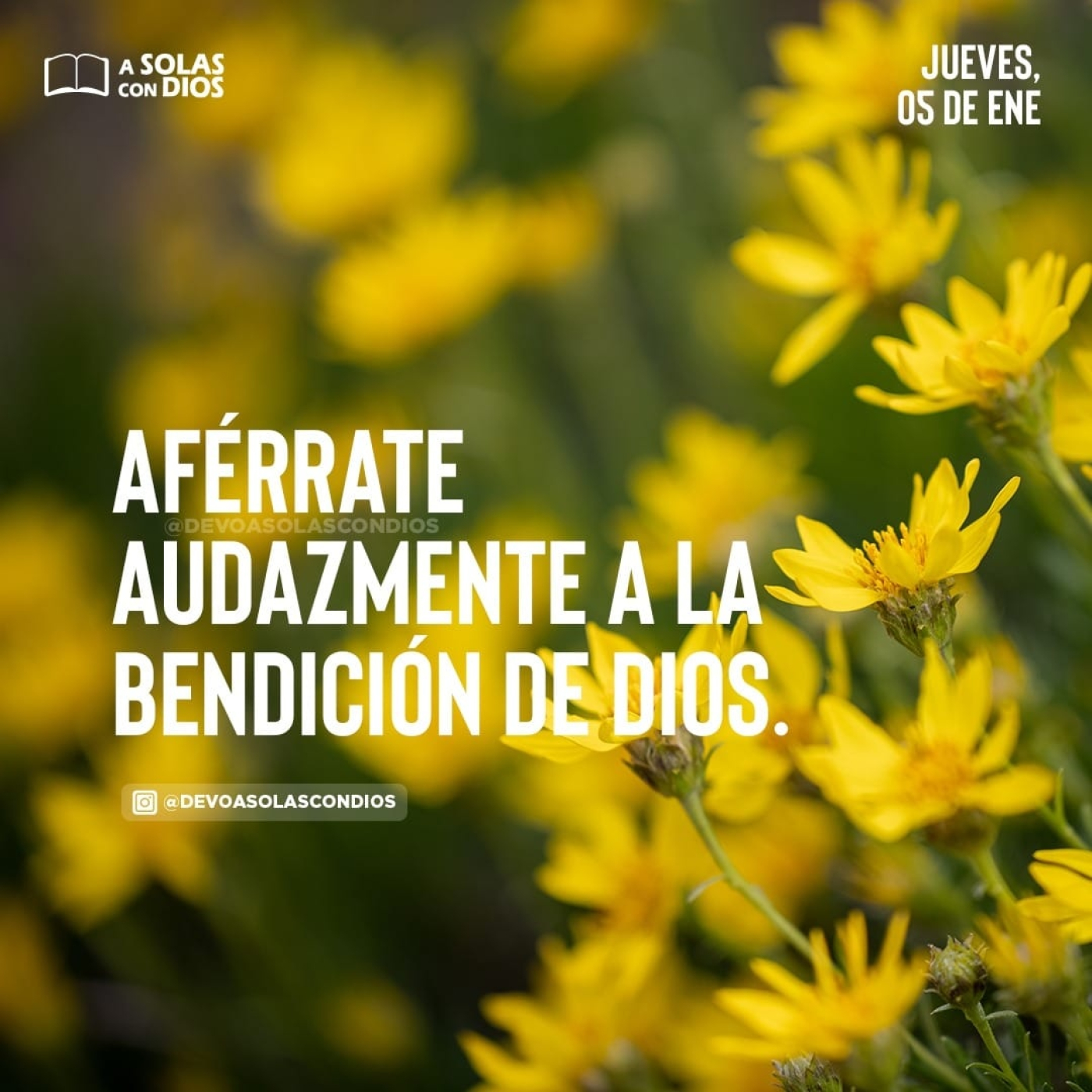 A Solas con Dios