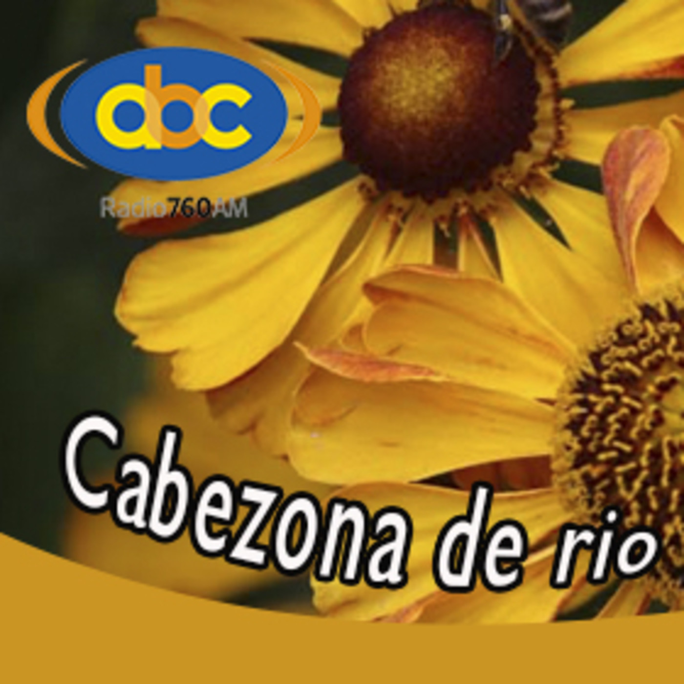 El Angel de tu Salud - CABEZONA DE RÍO I episode artwork