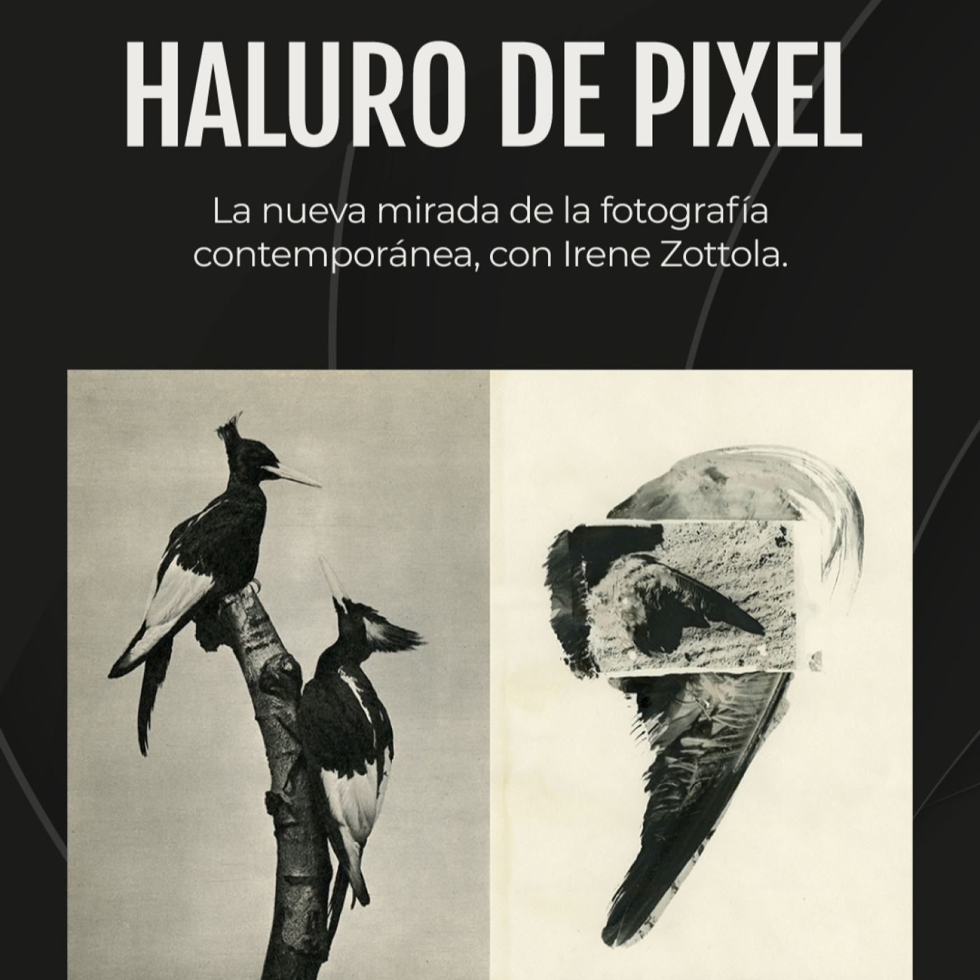 La nueva mirada de la fotografía contemporánea, con Irene Zottola