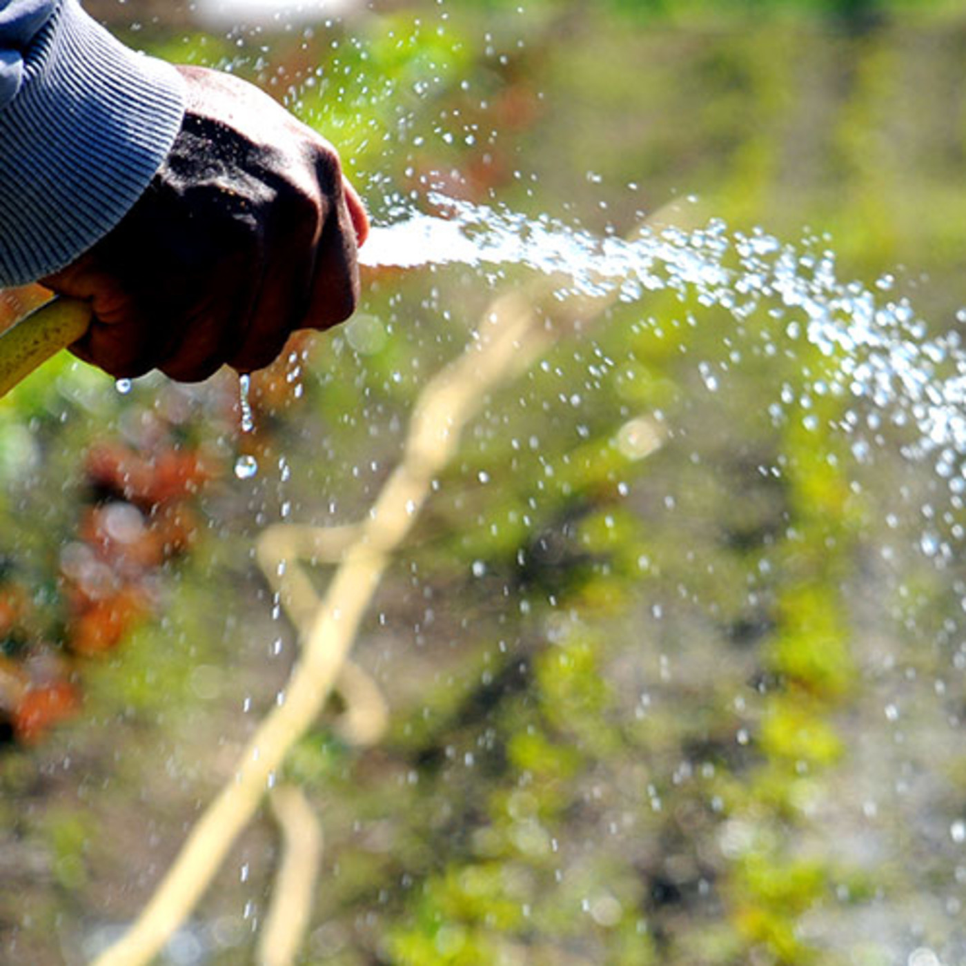 La mirada política del agro (LT8 - AM 830)