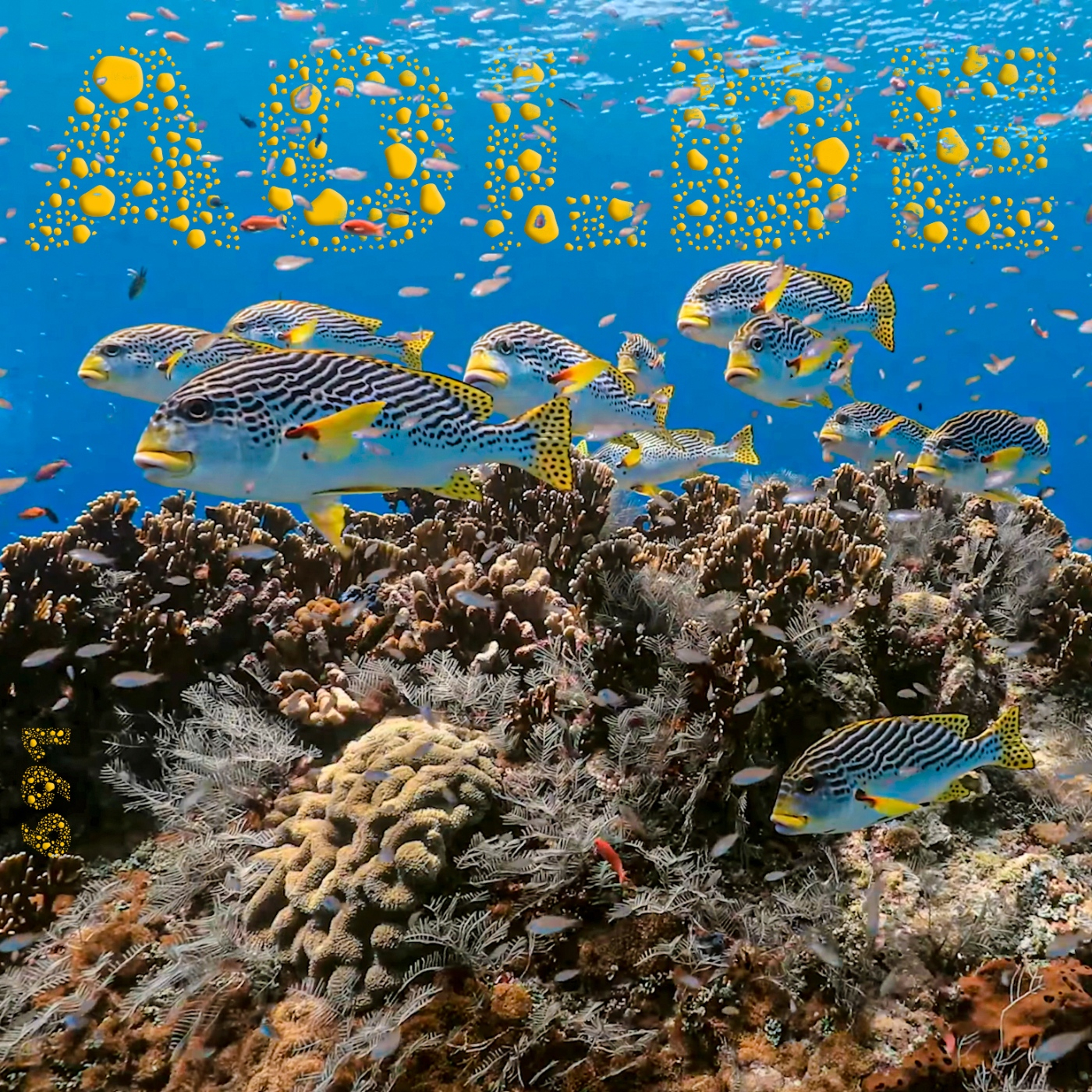 Podcast Al otro lado del espejo