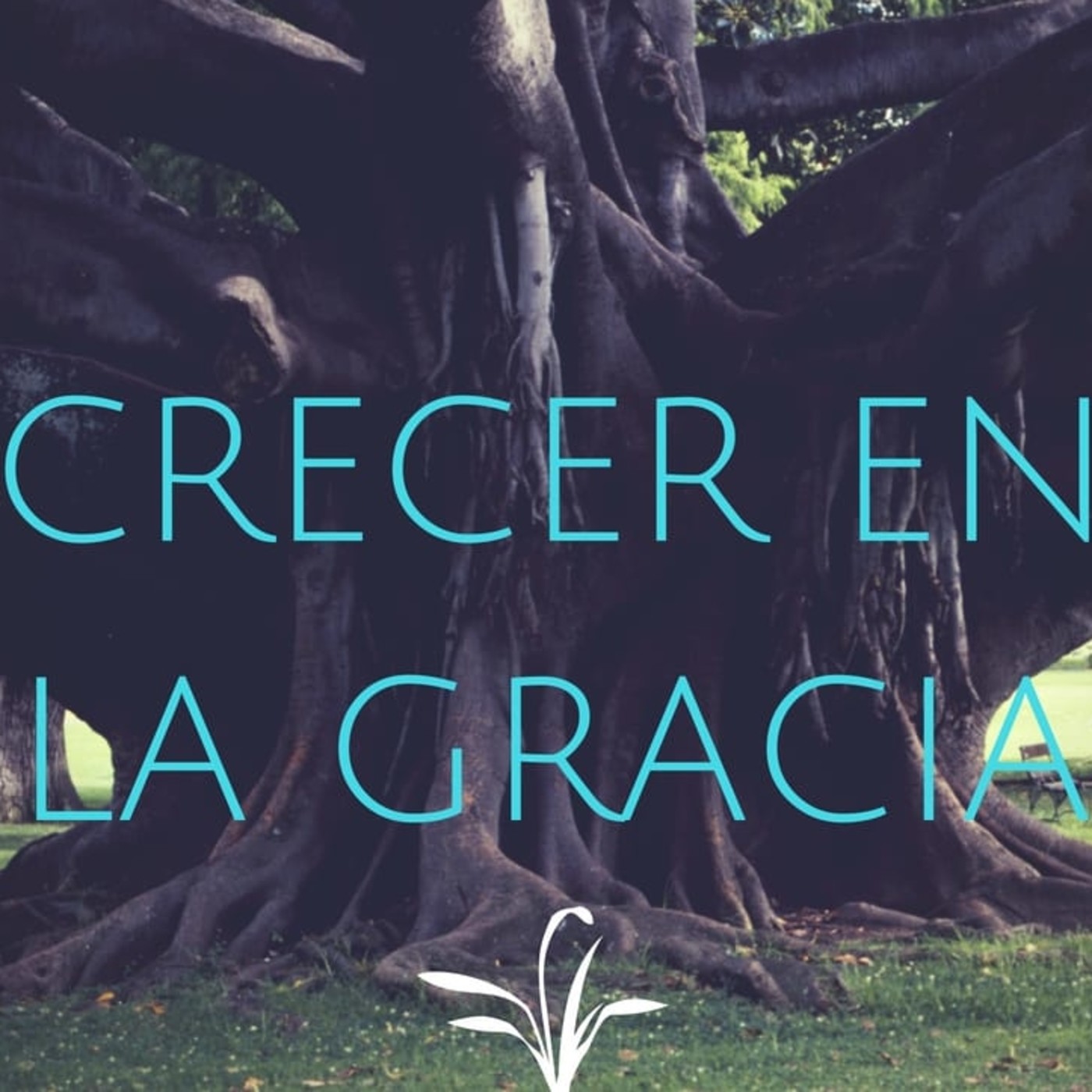 Crecer en la Gracia 11 Redimidos en Cristo - Pastor Kenneth Solá episode artwork