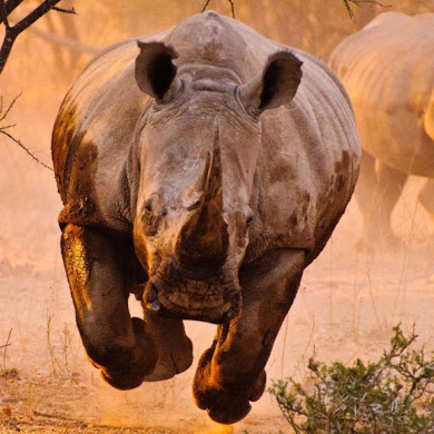 La Formación de Eduardo Sanchez