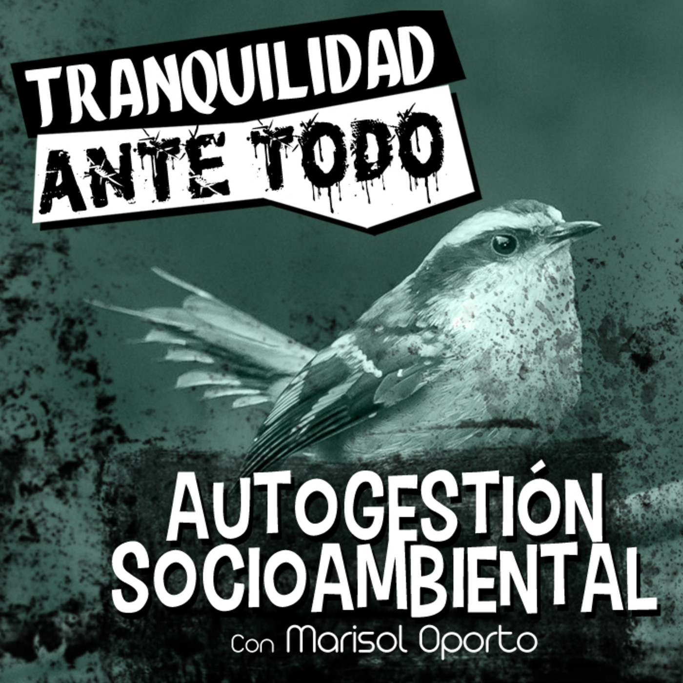 Tranquilidad Ante Todo