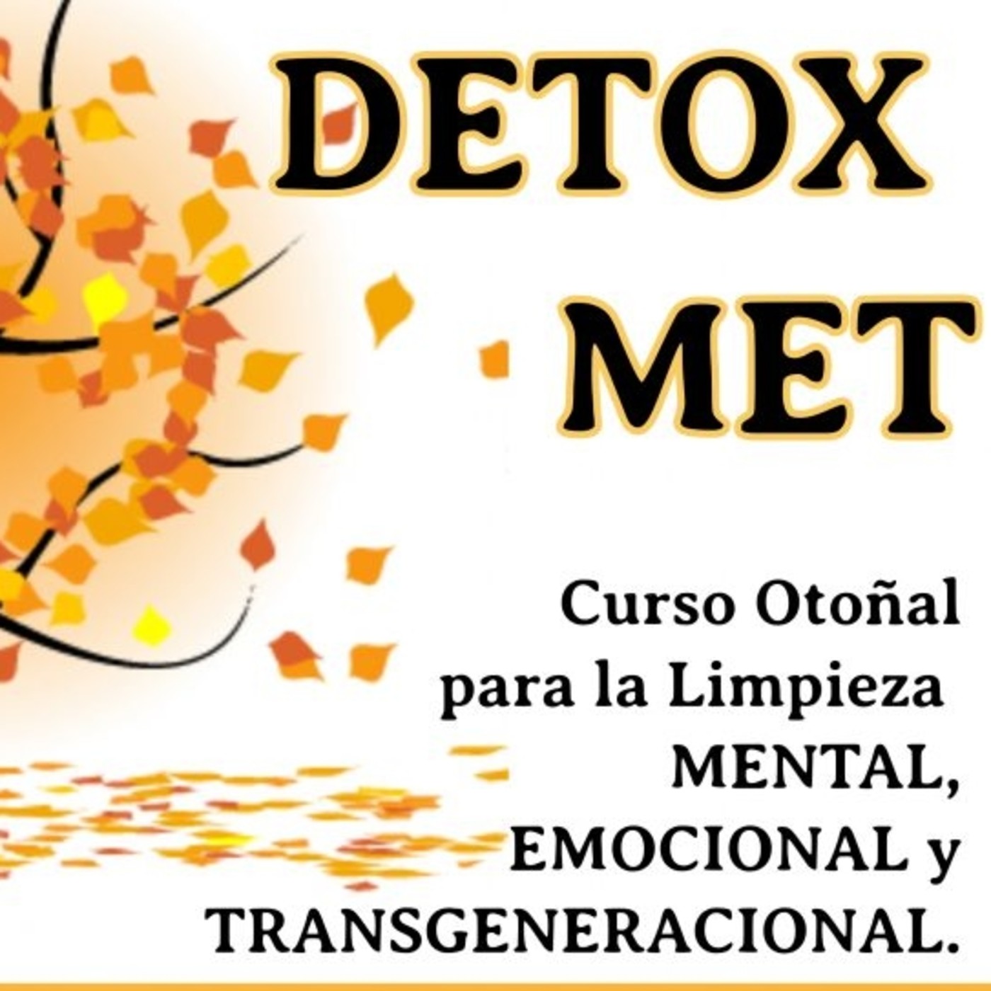 Mindfulness con Luz Navas Torres