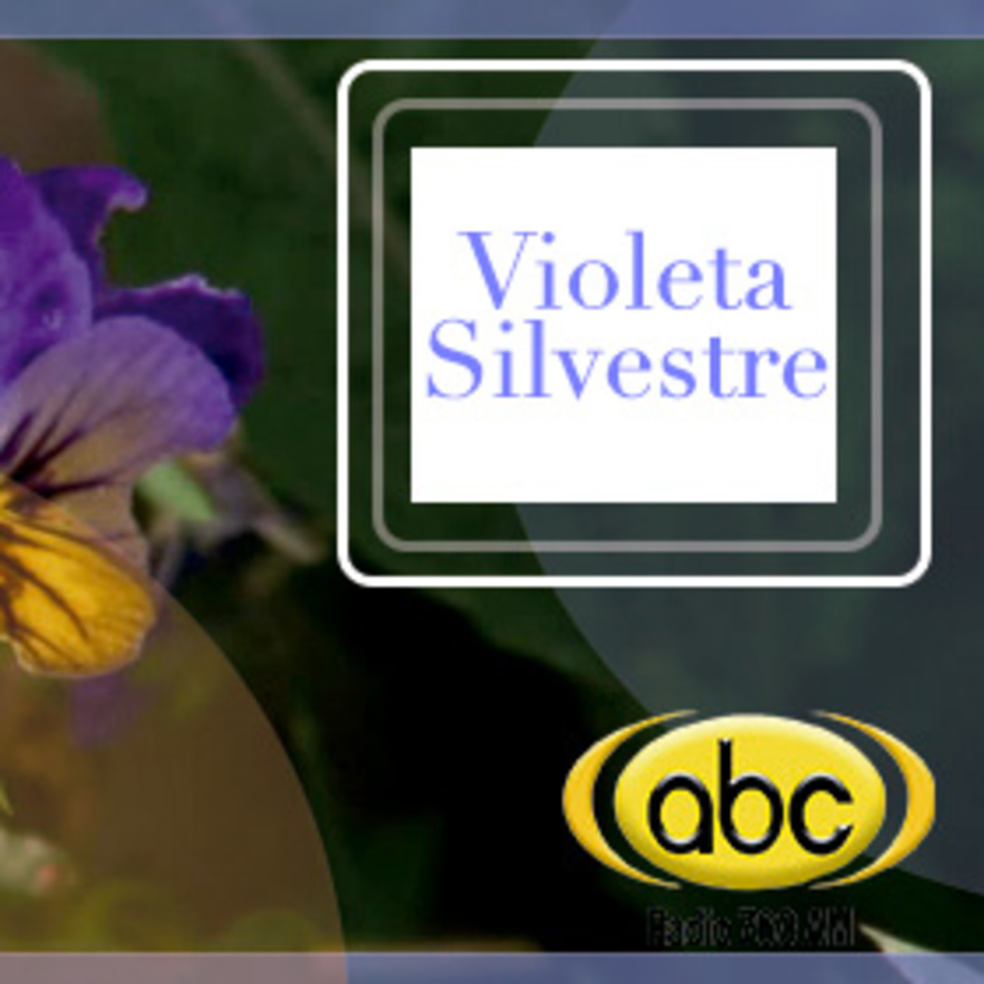 El Angel de tu Salud - VIOLETA SILVESTRE episode artwork