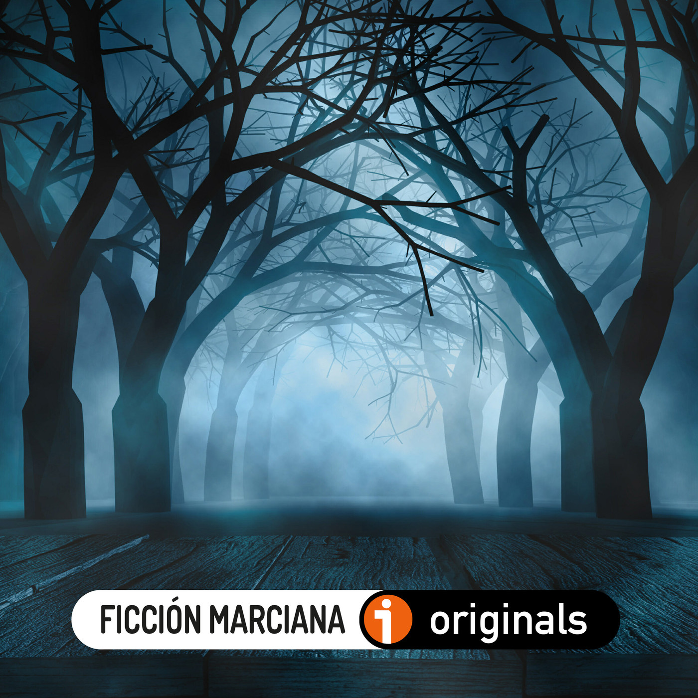 LA COMPAÑA (Emilia Pardo Bazán)   Ficción Sonora - Audiolibro