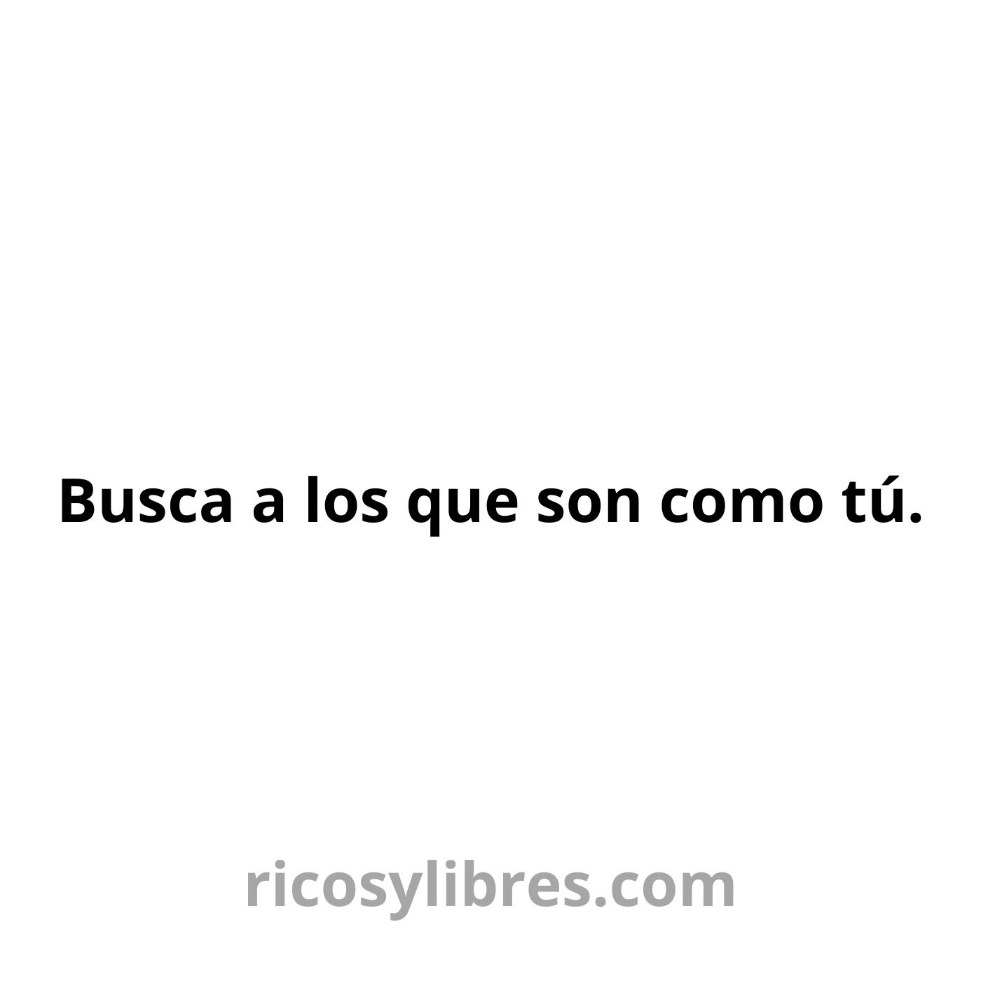 Ricosylibres.com