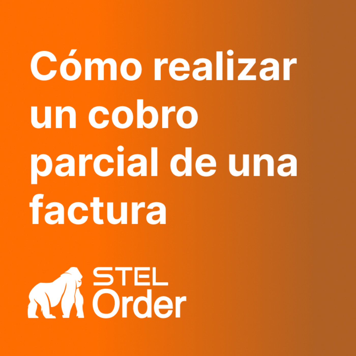Ayuda y Soporte STEL Order