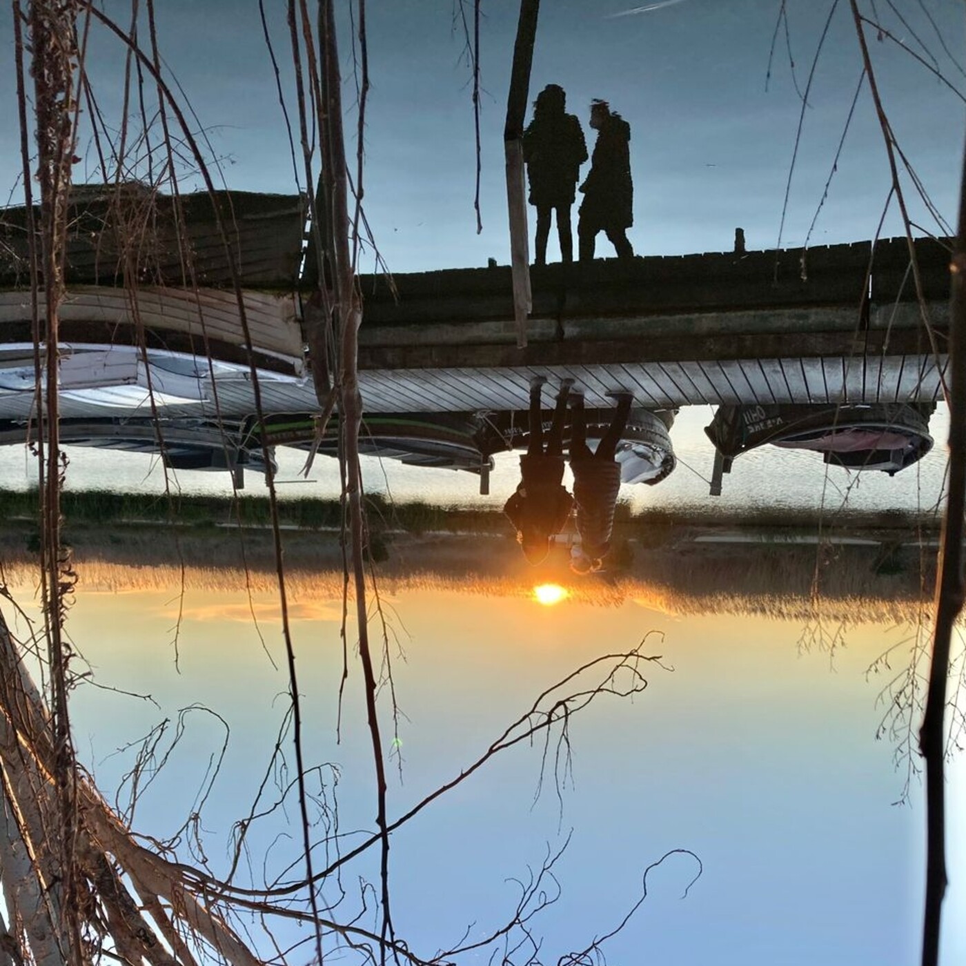 Reflexías