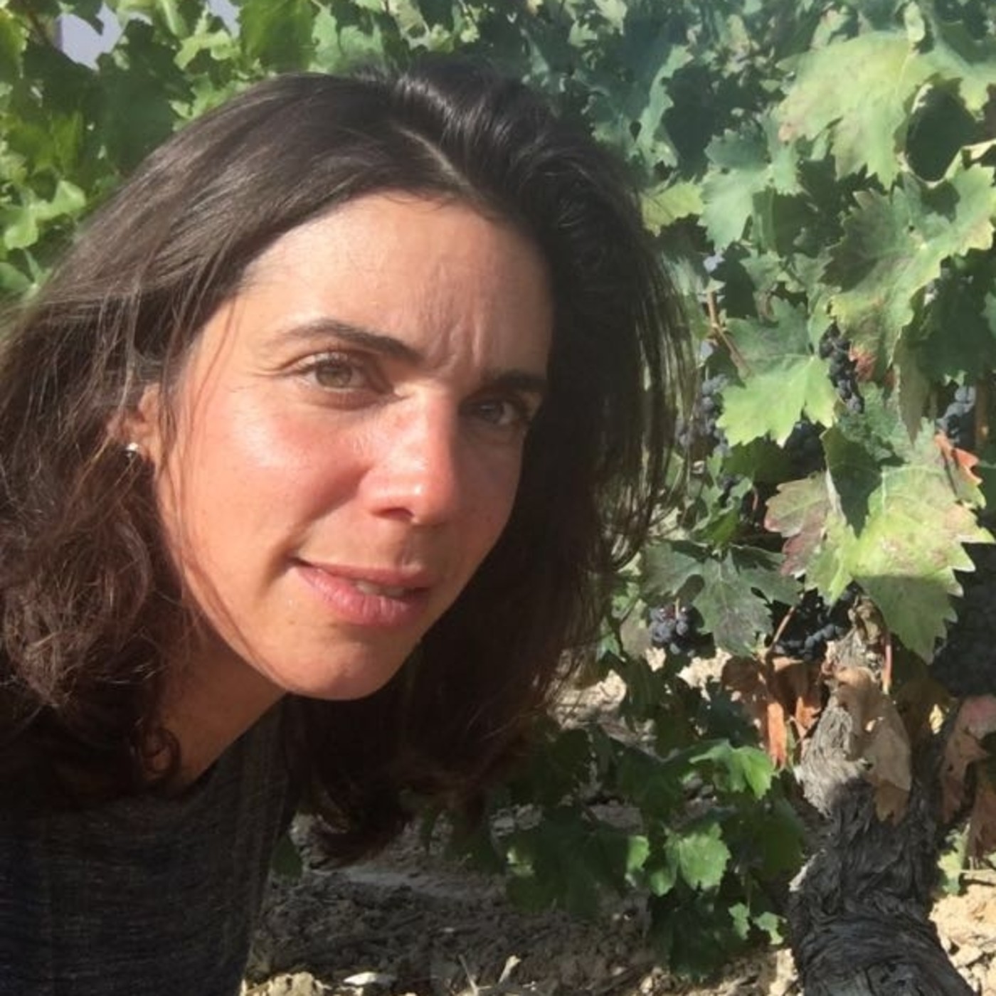 vinistas