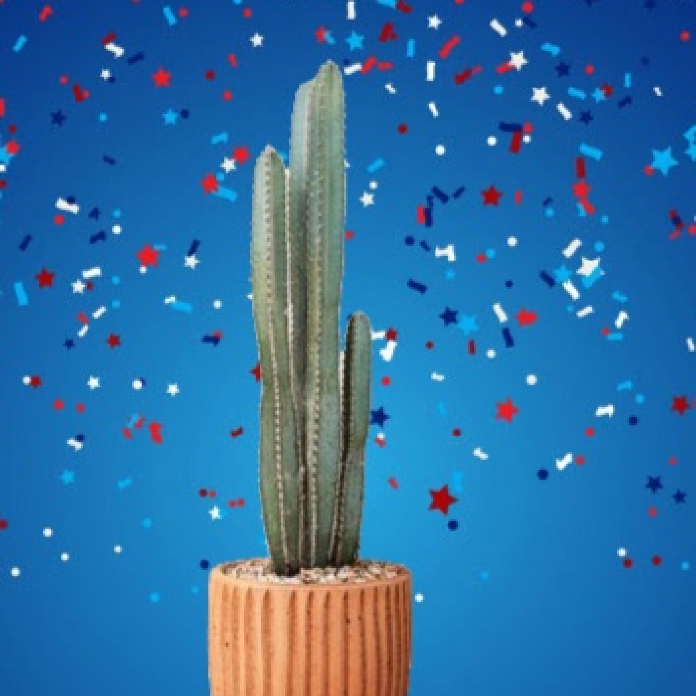 Cactus Confetti