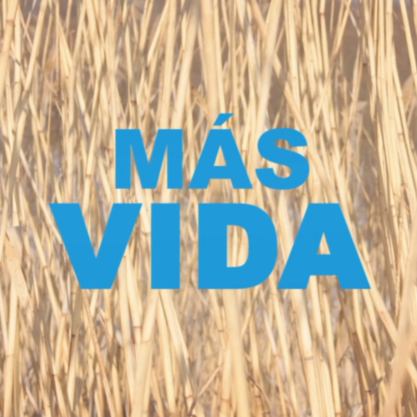 MÁS VIDA