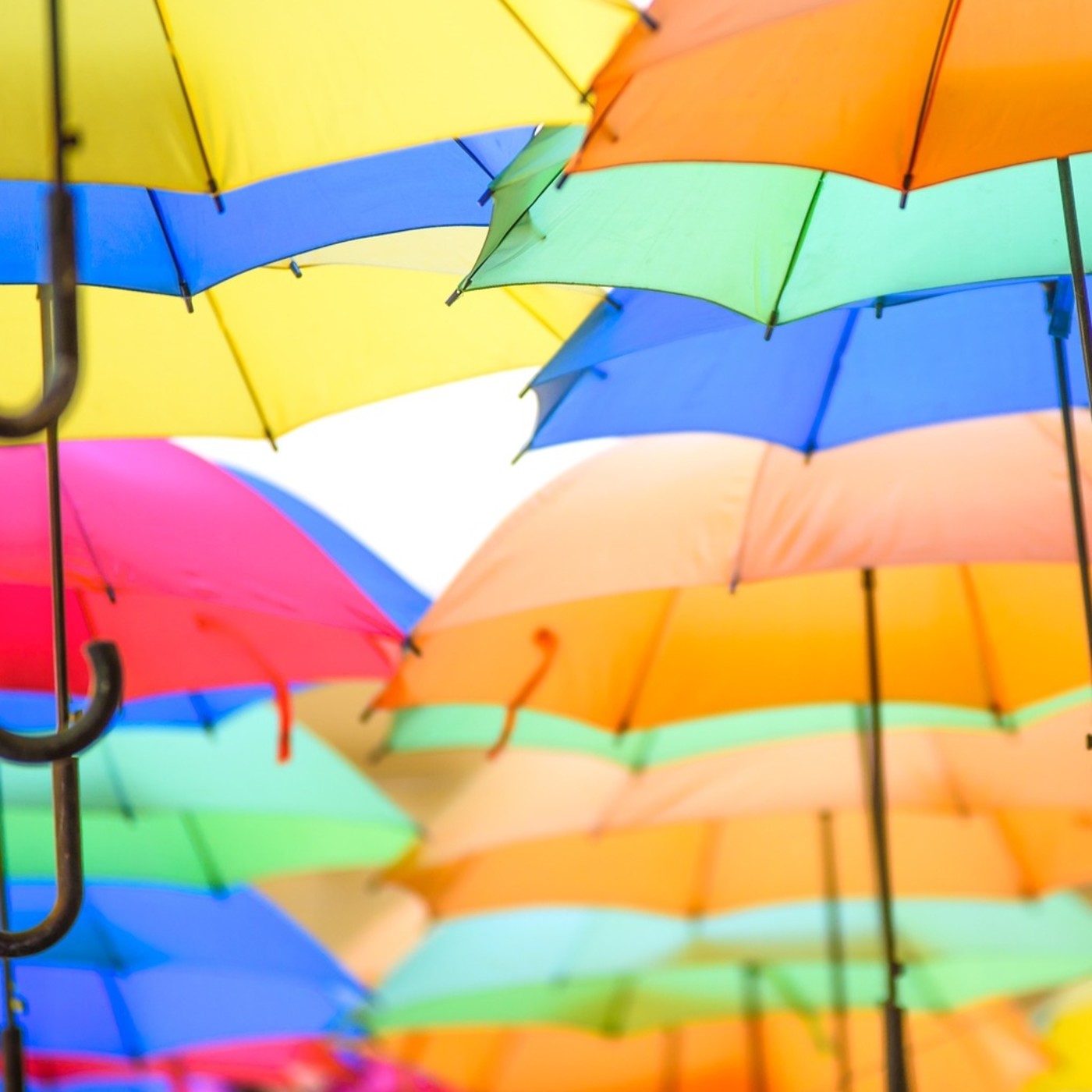 Entradas blog Osoa Accion Integral