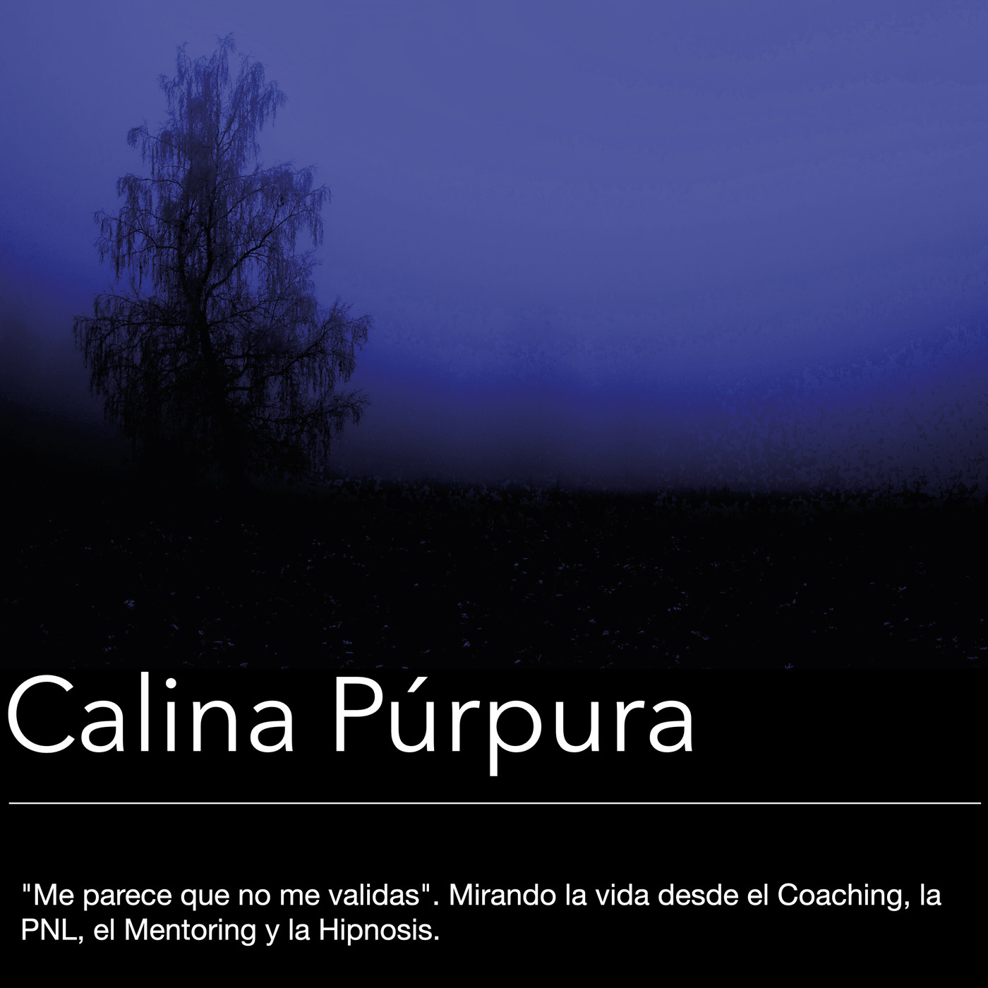 #99 Me parece que no me validas episode artwork