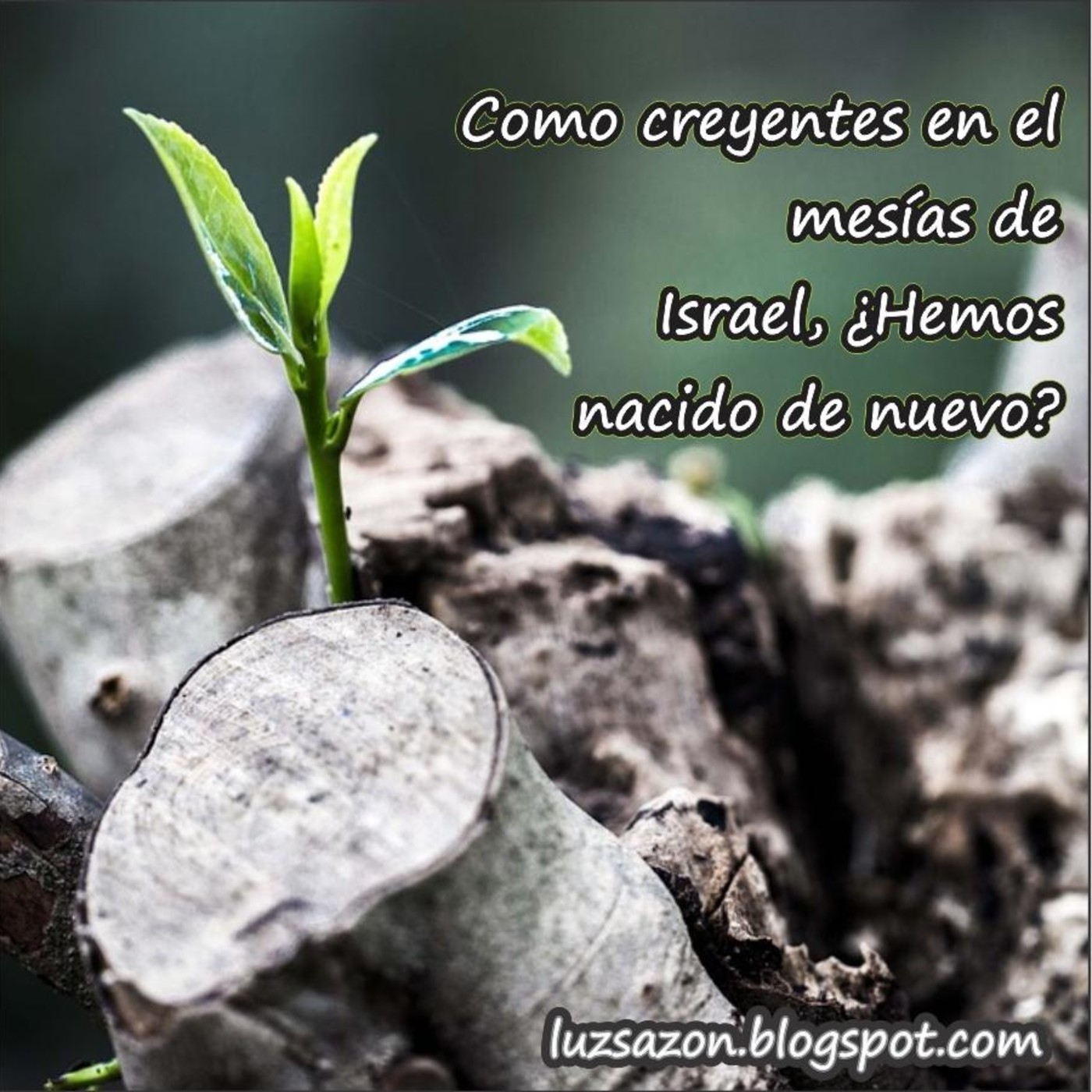 Enseñanzas varias